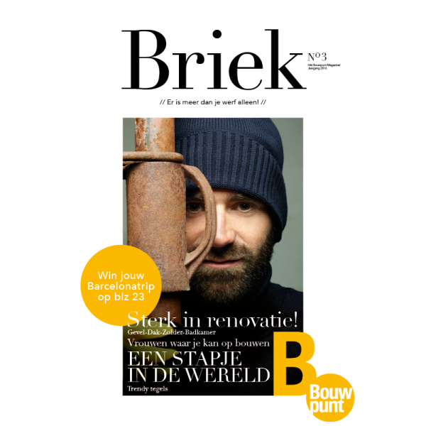 Briek renoviert