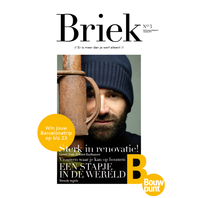 Briek renoviert